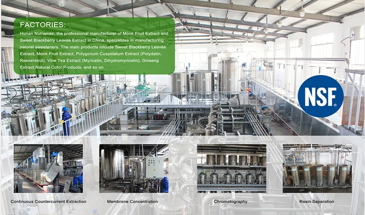 Amla Fruit Extract industry insight