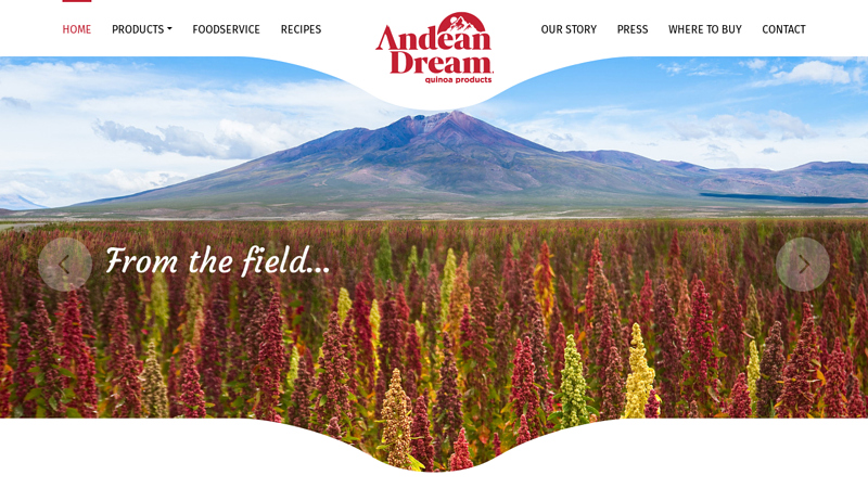 Andean Dream