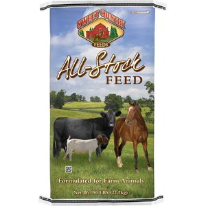 Animal Feeds & Supplements for Quality Nutrition