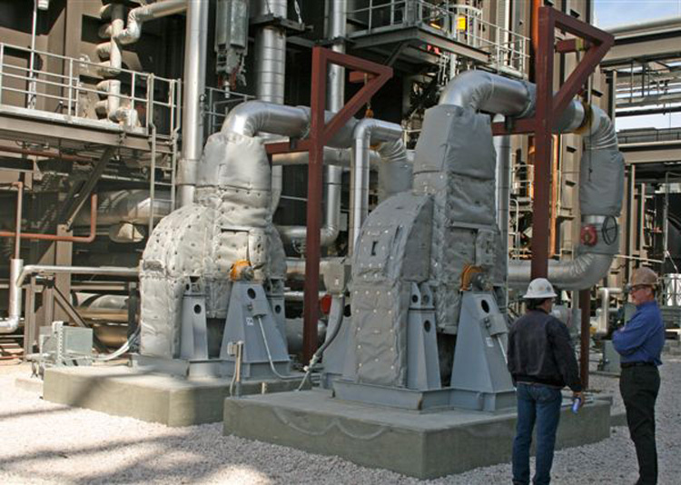 Aq Ammonia industry insight