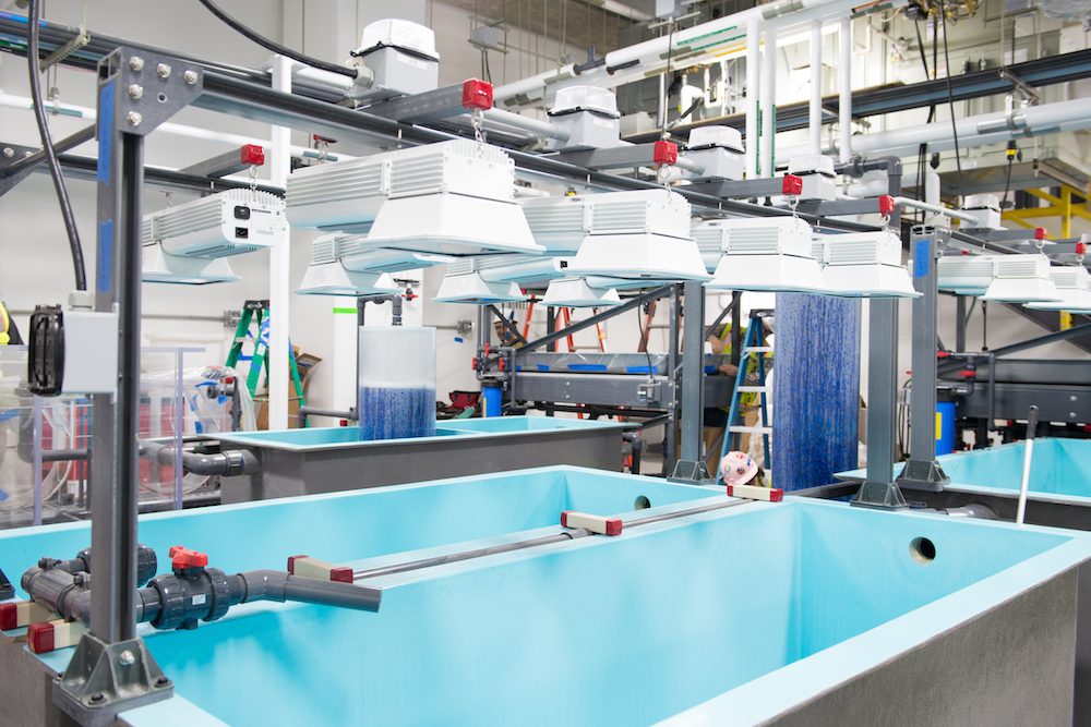 Aquarium industry insight