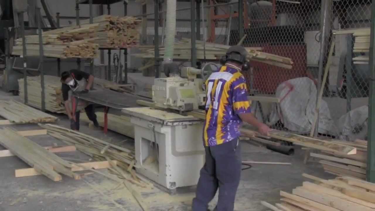 Art Canvas industry insight