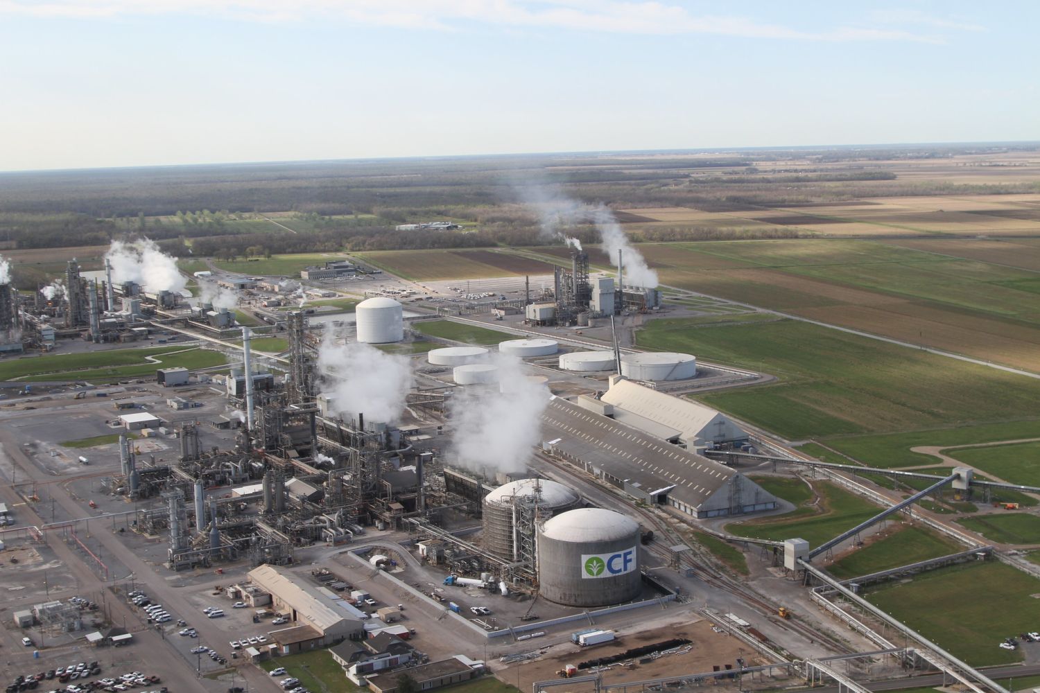 Artificial Fertilizer industry insight