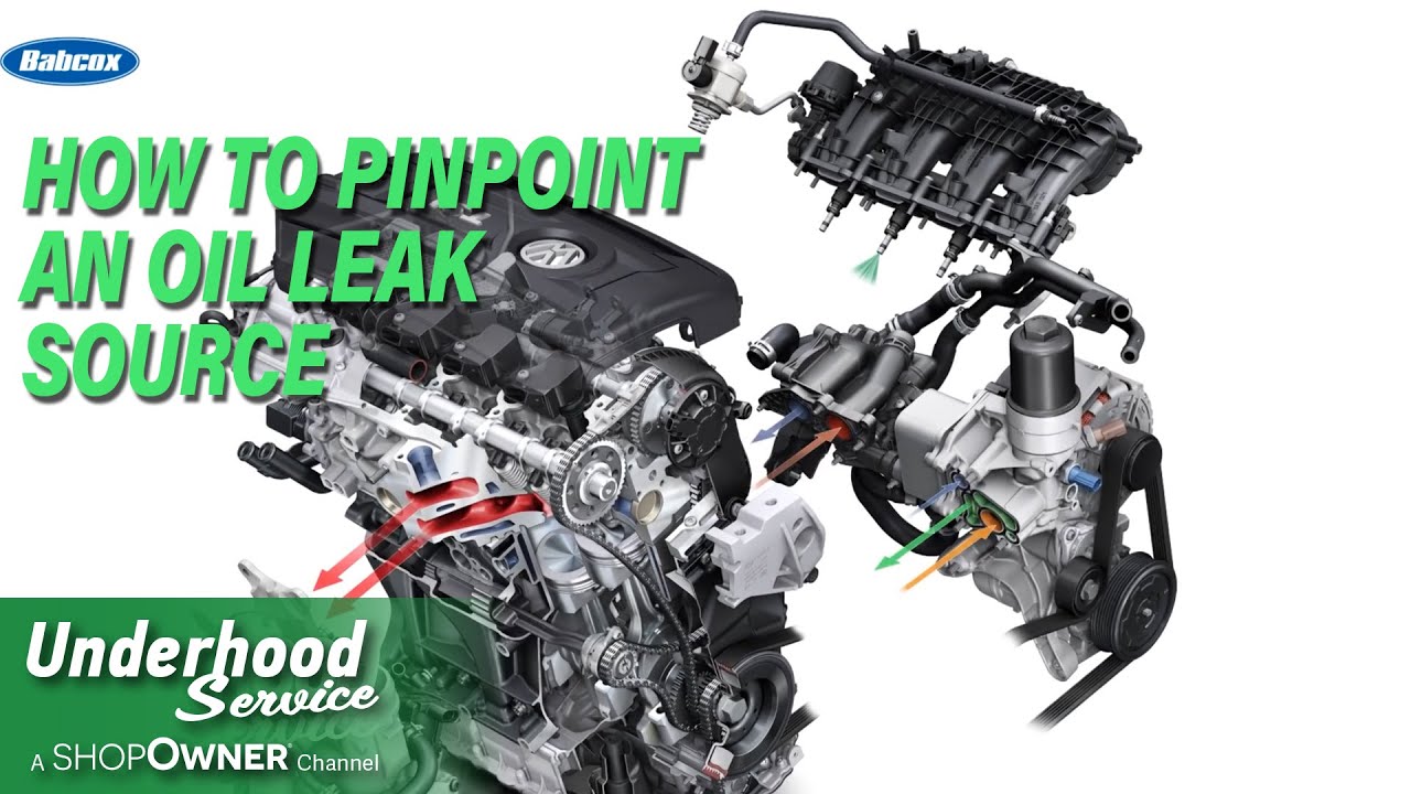 Auto Oil Leak Sealer industry insight