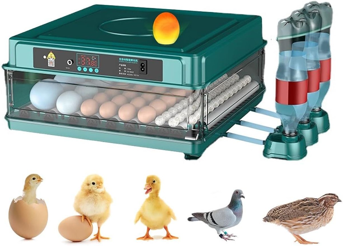 Automatic 130 Egg Incubator