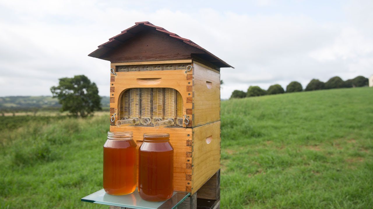 Automatic Flow Beehive industry insight
