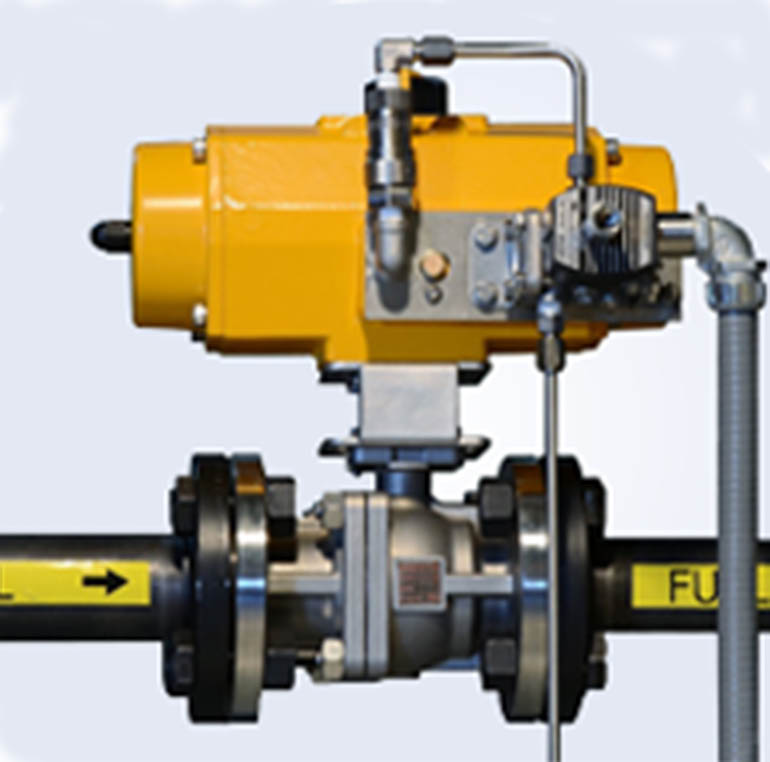 Automatic Gas Shutoff Valve industry insight
