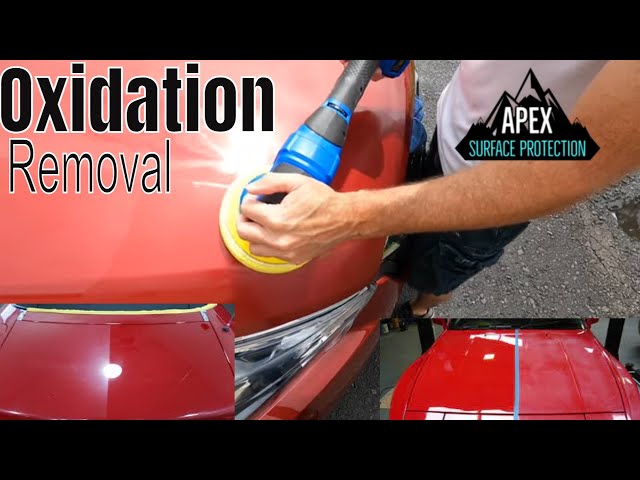 Automotive Oxidation Remover industry insight