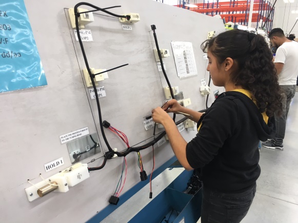 Automotive Wiring Harness industry insight