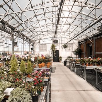 Baisch & Skinner Wholesale Floral Distributor