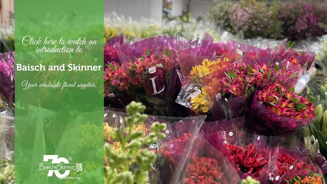 Baisch & Skinner Wholesale Floral Distributor