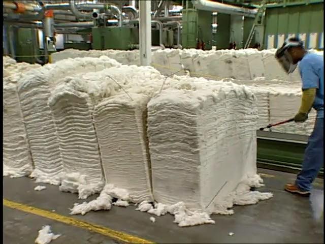 Bale Of Cotton industry insight