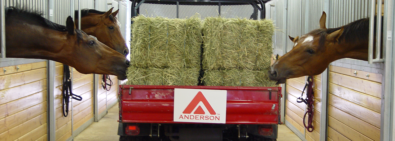 Bales Hay Sales