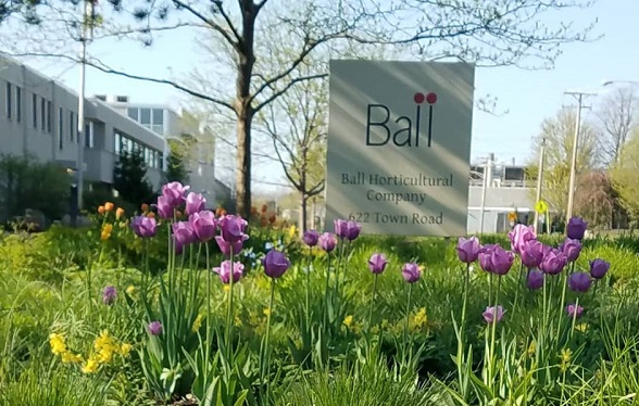 Ball Horticultural Company