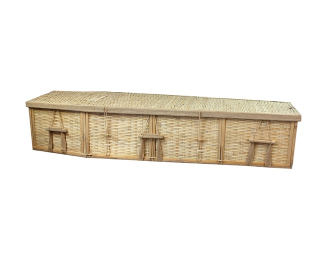 Bamboo Coffin PI