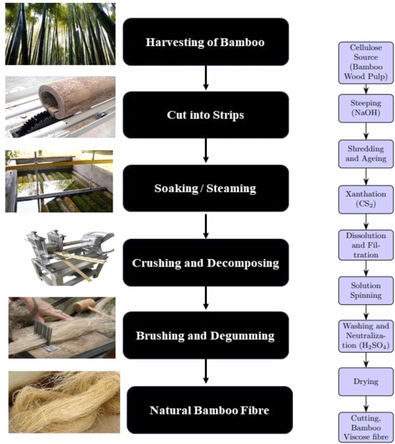 Bamboo Fabric Material industry insight
