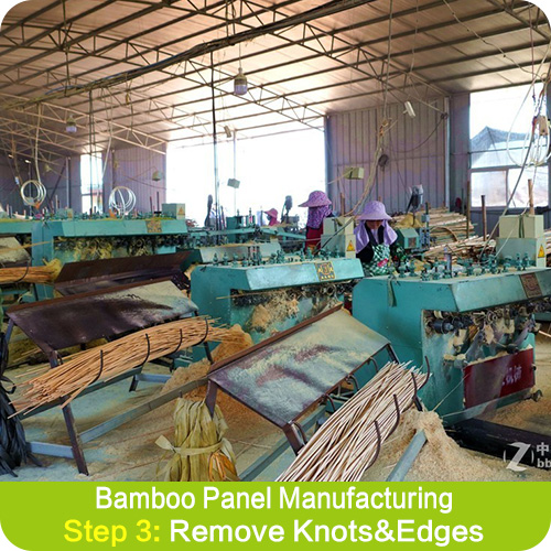 Bamboo Slab industry insight