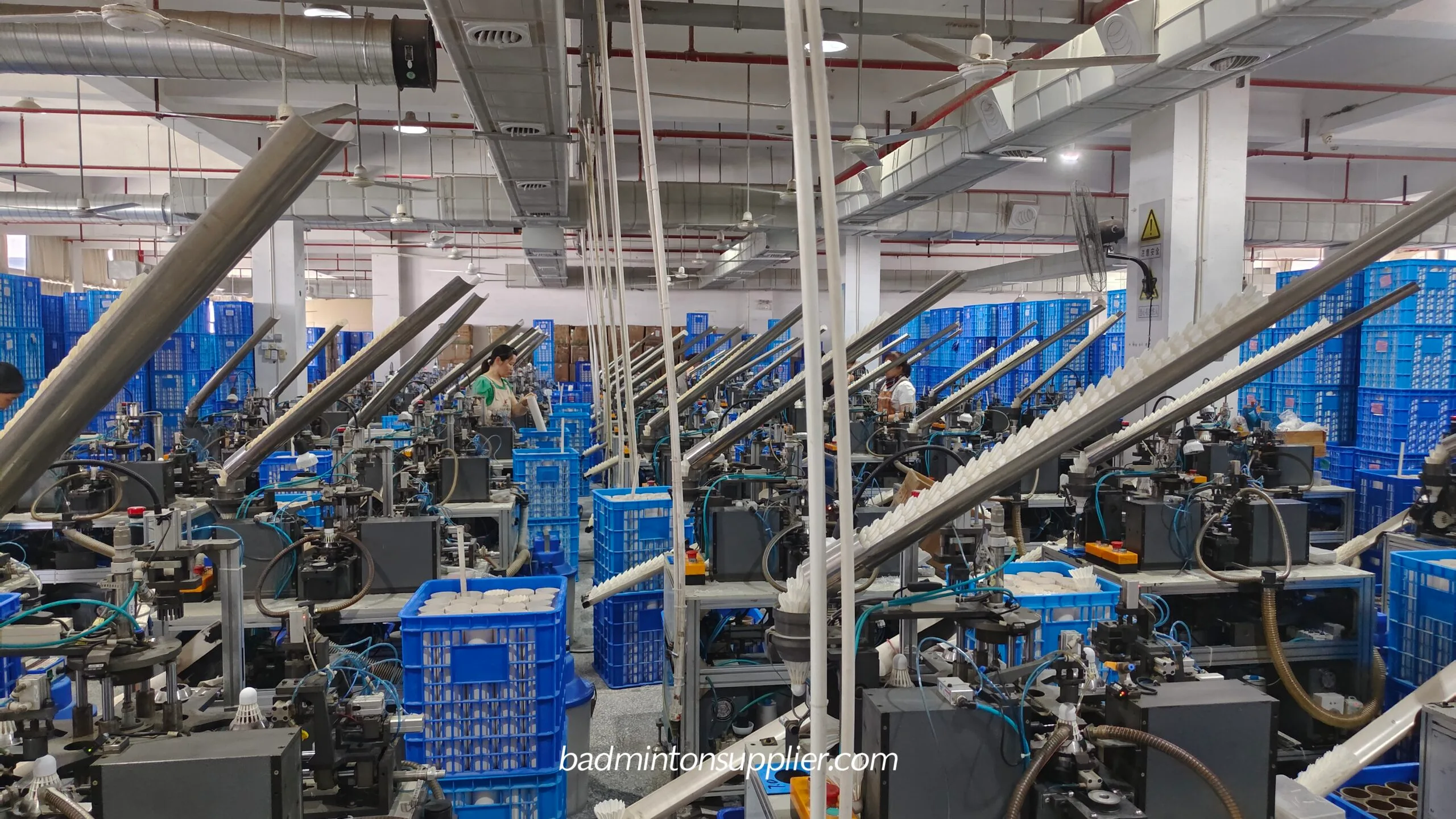 Bamdinton  China industry insight