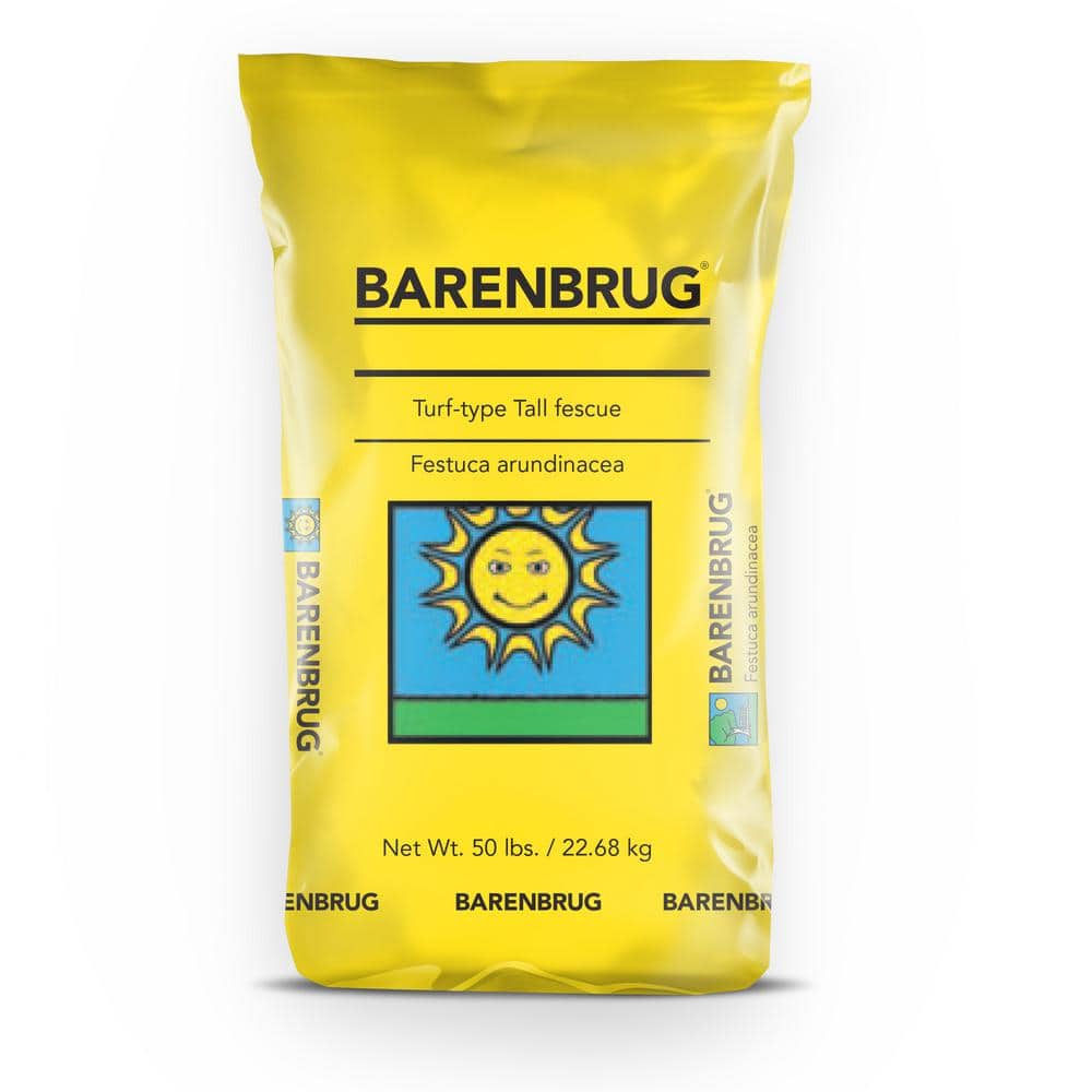 Barenbrug