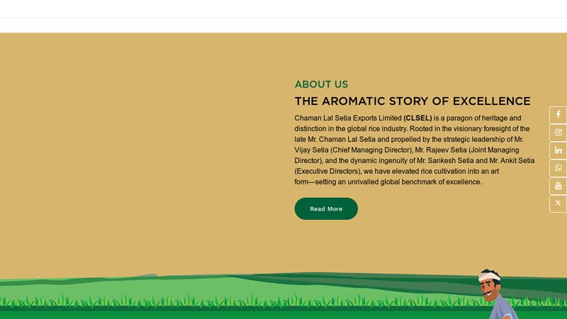 Basmati Rice Manufacturers in India