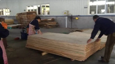 Bb Cc Plywood industry insight
