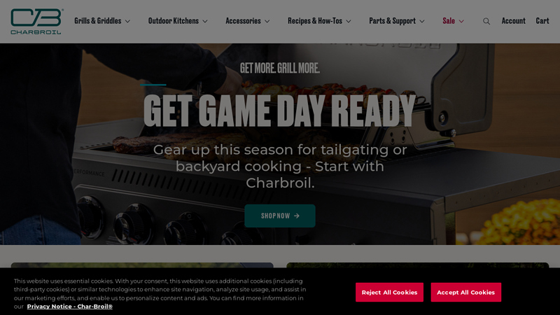 BBQ Grills, Charcoal Grills & Smokers