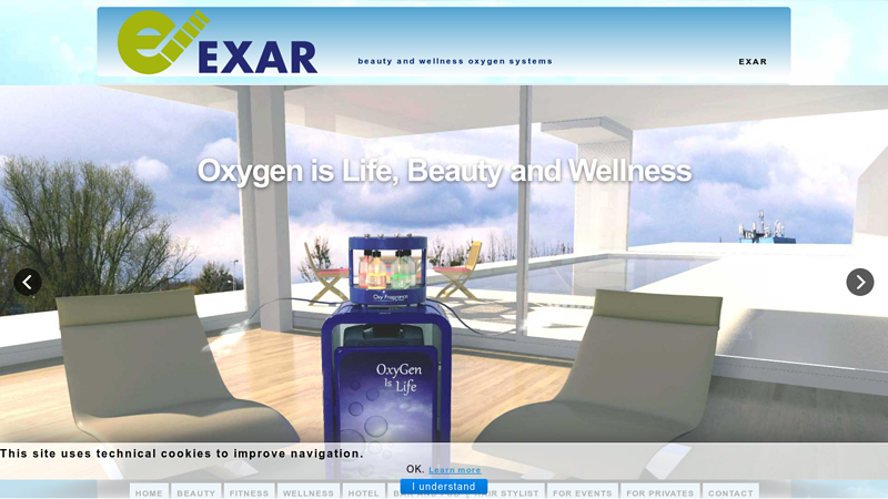 beauty and wellness oxygen systems