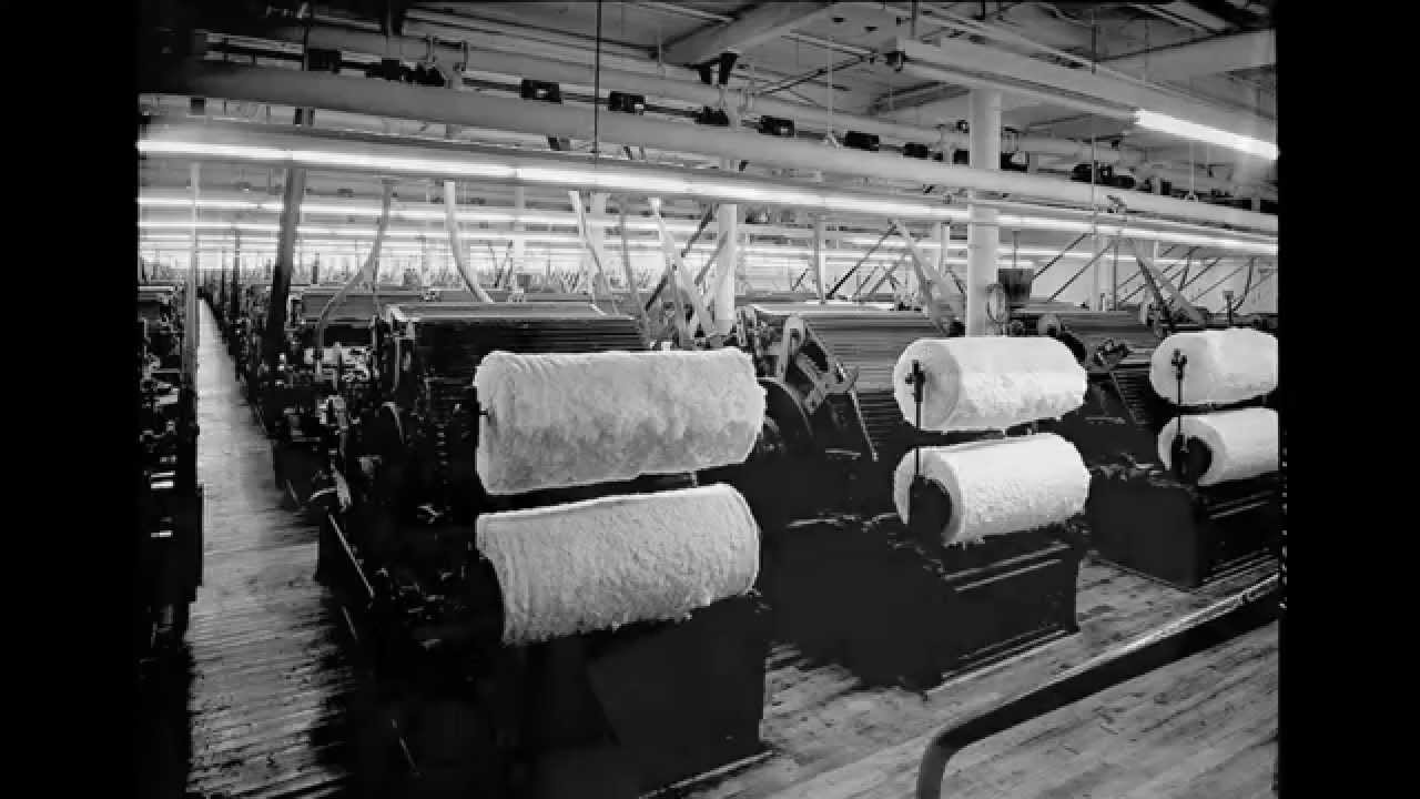 Bedford Cord Fabric industry insight