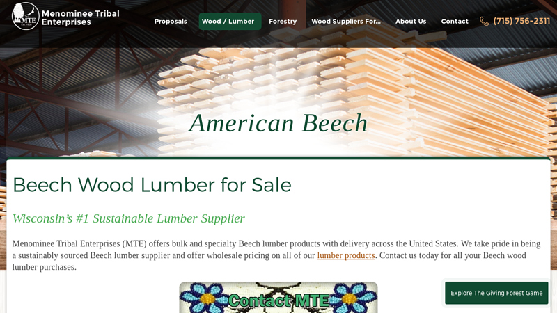 Beech Wood Lumber for Sale