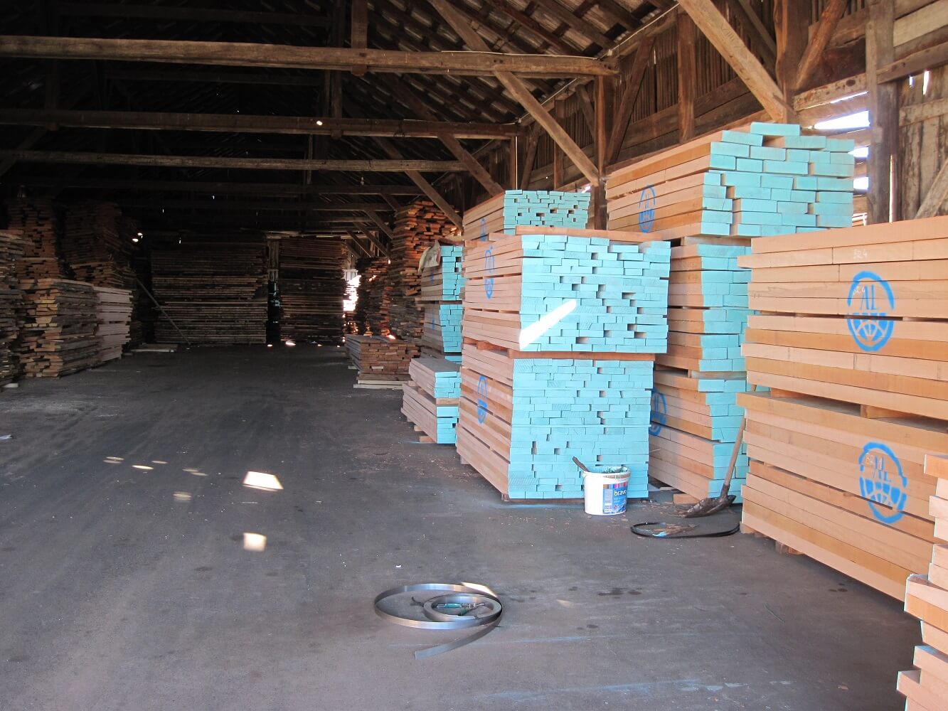 Beech Wood Lumber industry insight