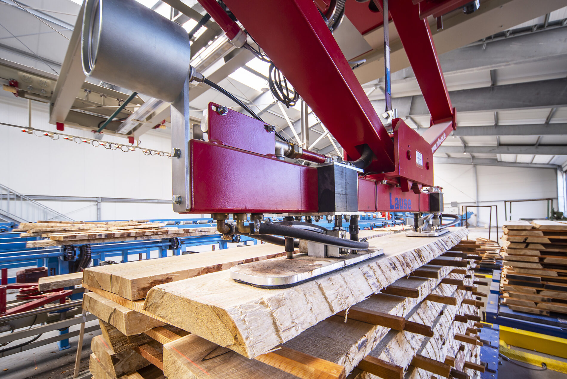 Beech Wood Lumber industry insight