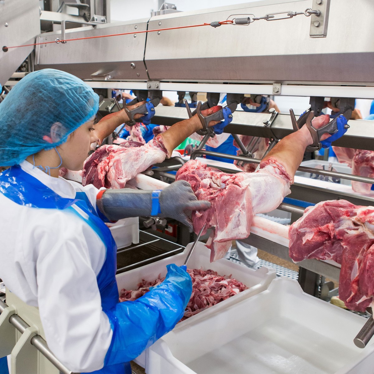 Beef Distributors industry insight