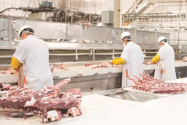 Beef Meat Wholesale Price industry insight