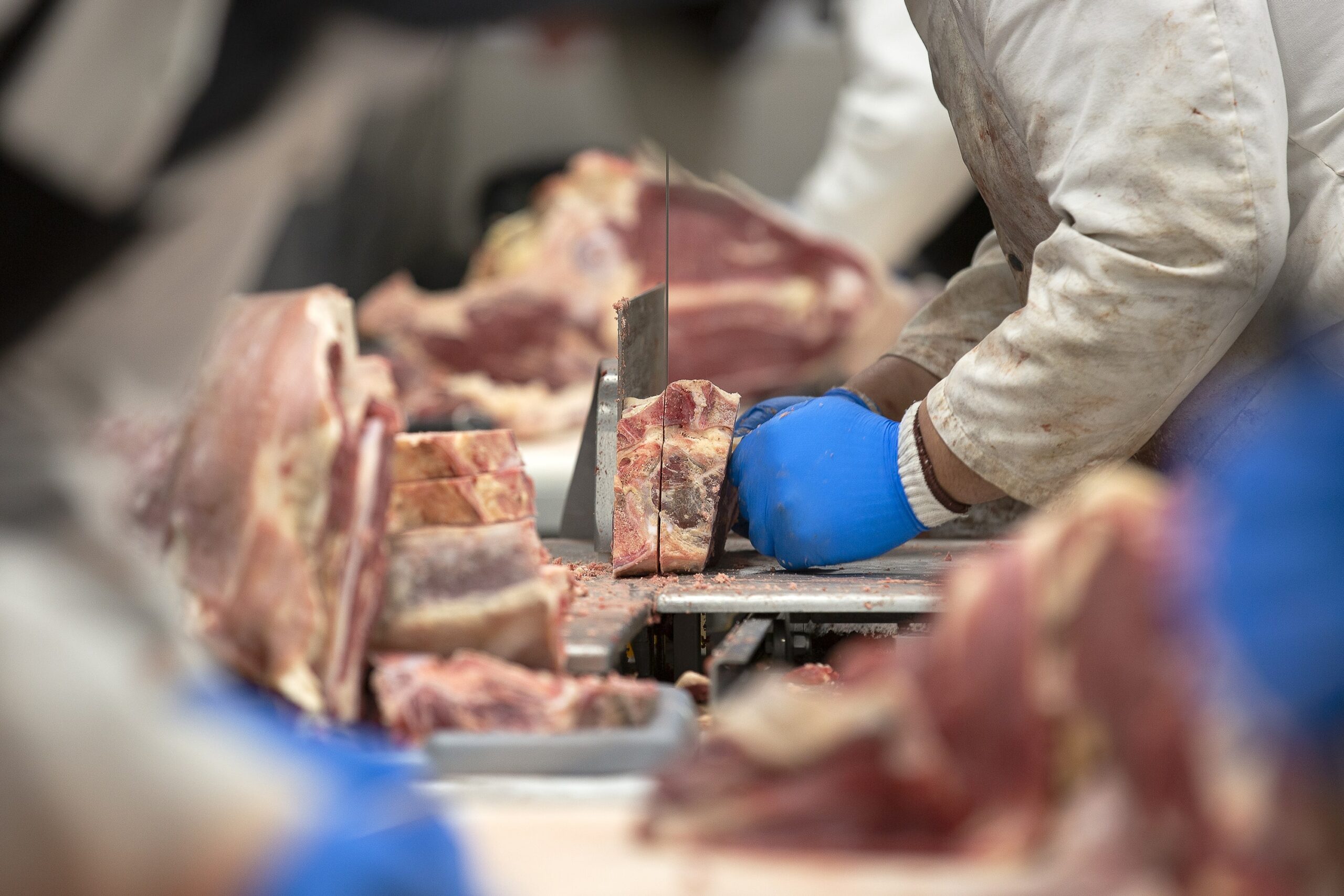 Beef Wholesalers industry insight
