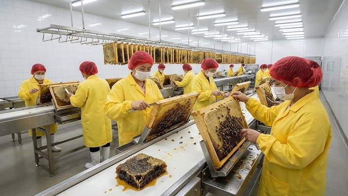 Beeswax Bulk Organic industry insight