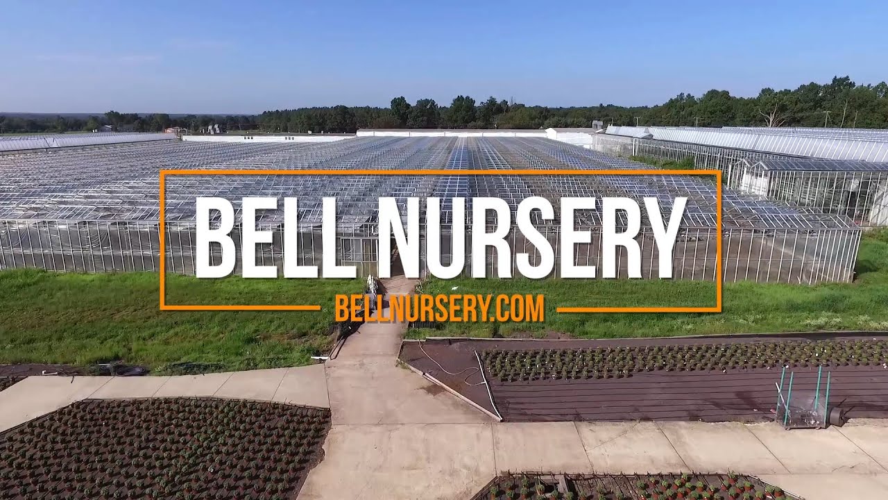 Bell Nursery