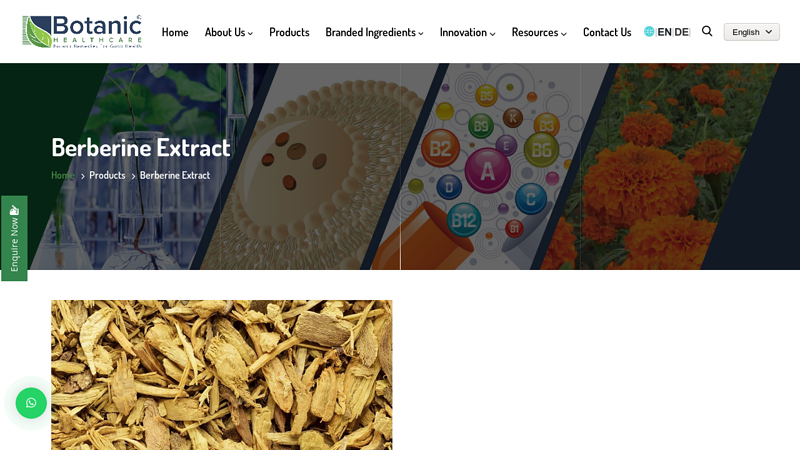 Berberine Extract Suppliers Exporters