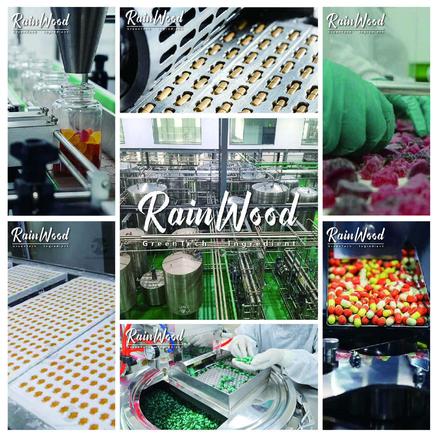 Berberine industry insight