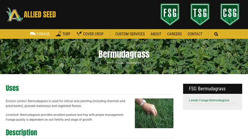 Bermudagrass