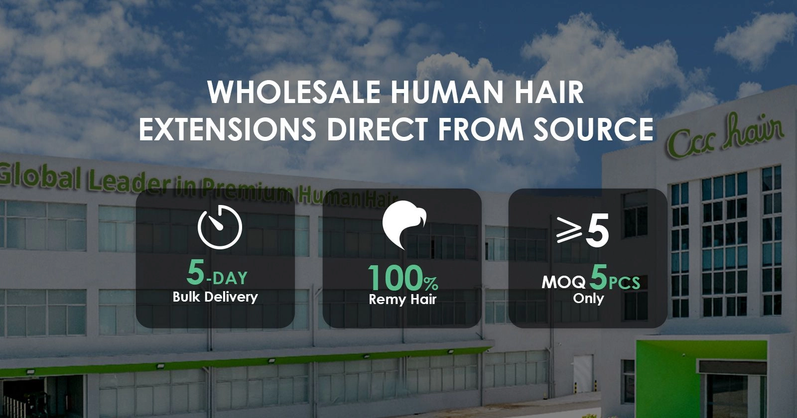 Best Wholesale Human Hair Extensions