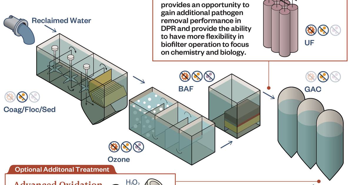 Bio Filter industry insight