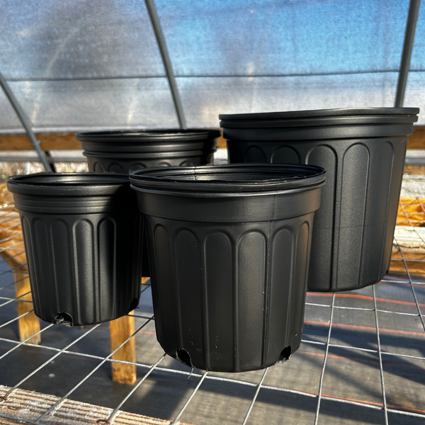 Black Nursery Pots