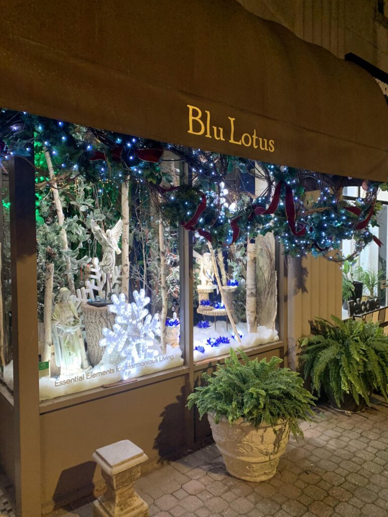Blu Lotus Metaphysical Center