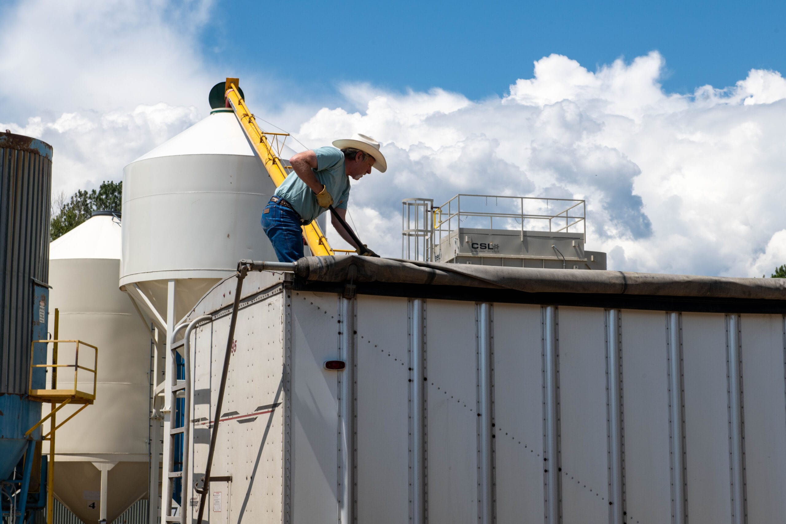 Bluebird Grain Farms