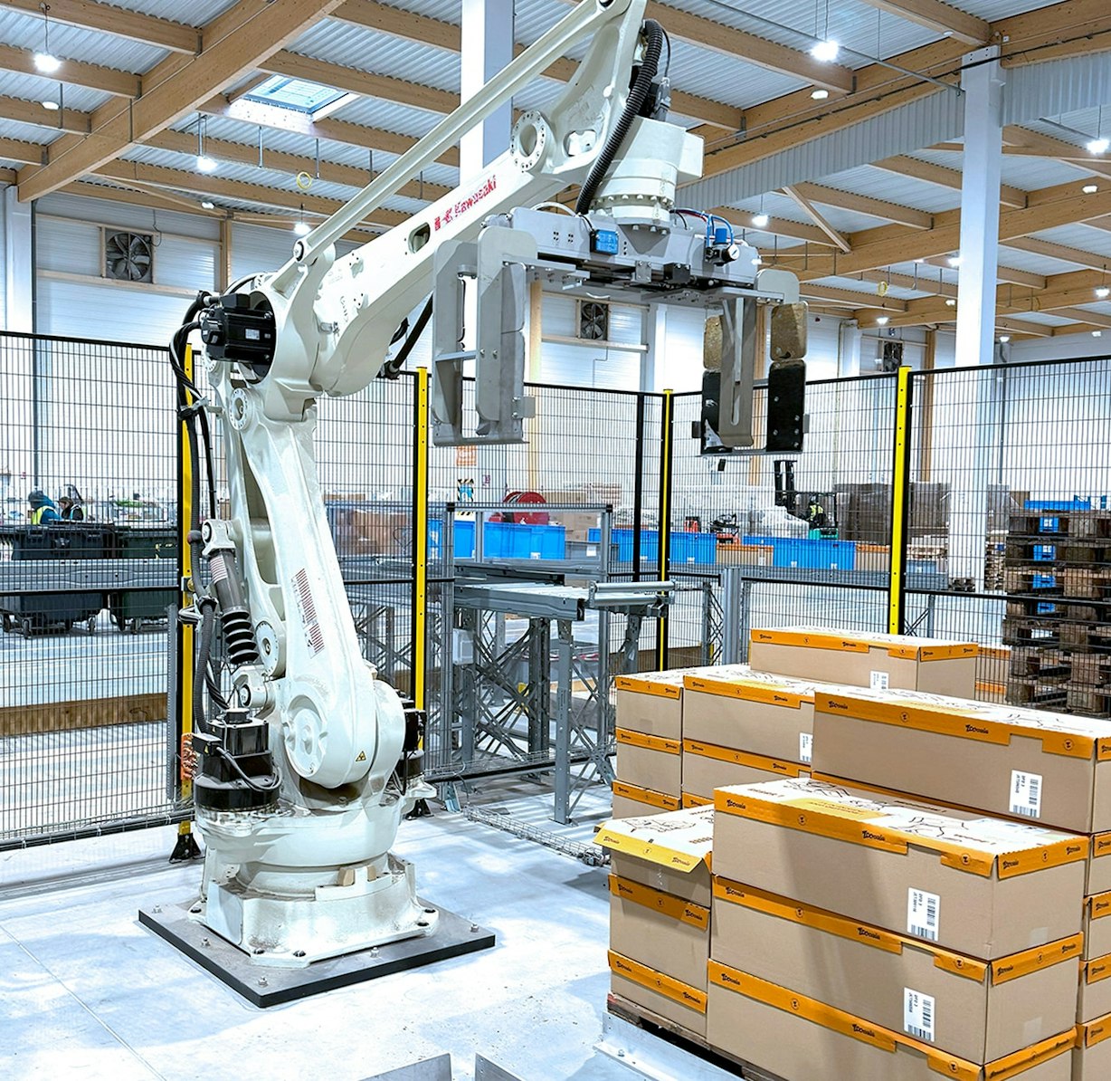 Boas In Bulk industry insight