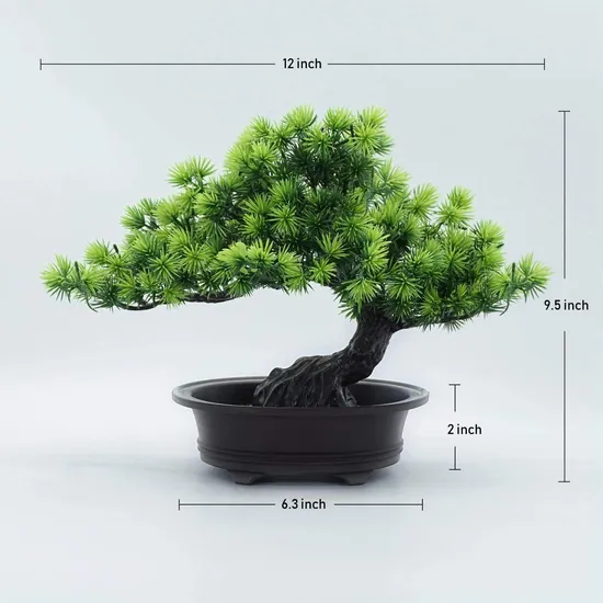 Bonsai Wholesale industry insight