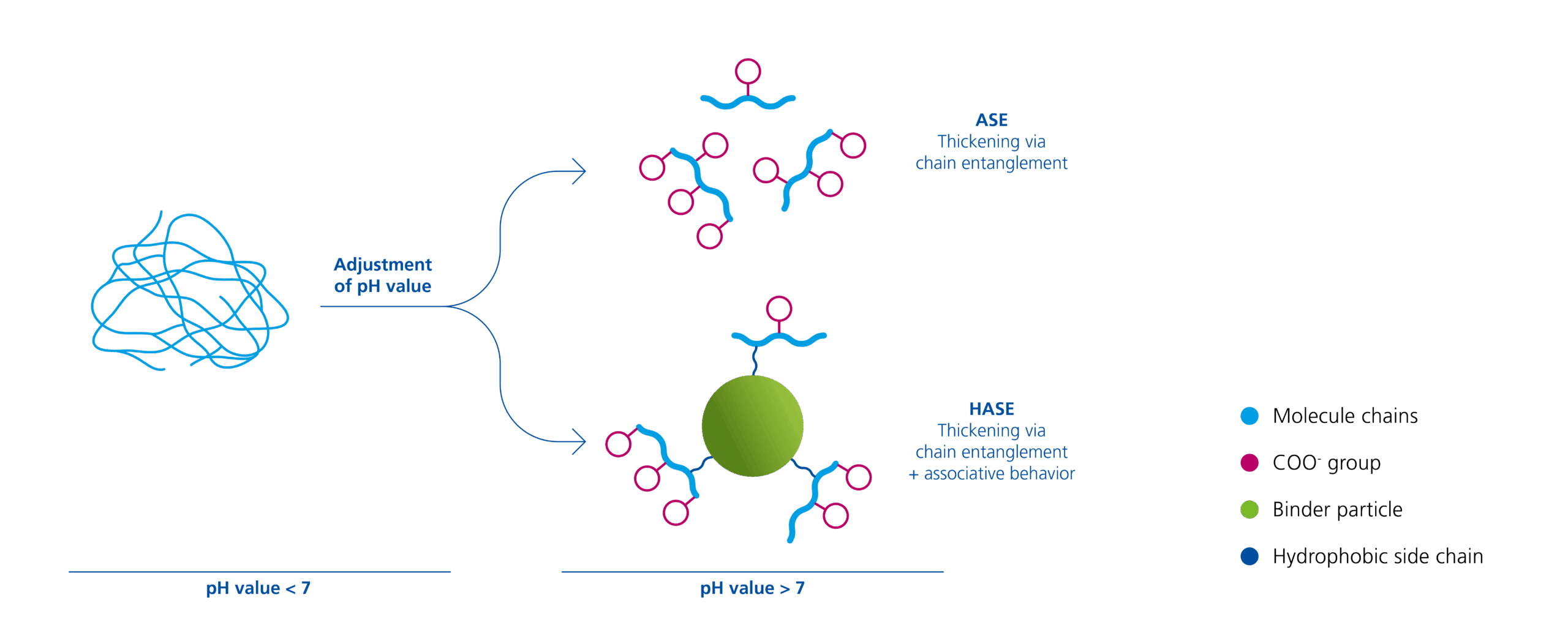 Boosting performance: acrylic thickeners!