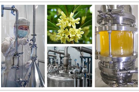 Botanical industry insight