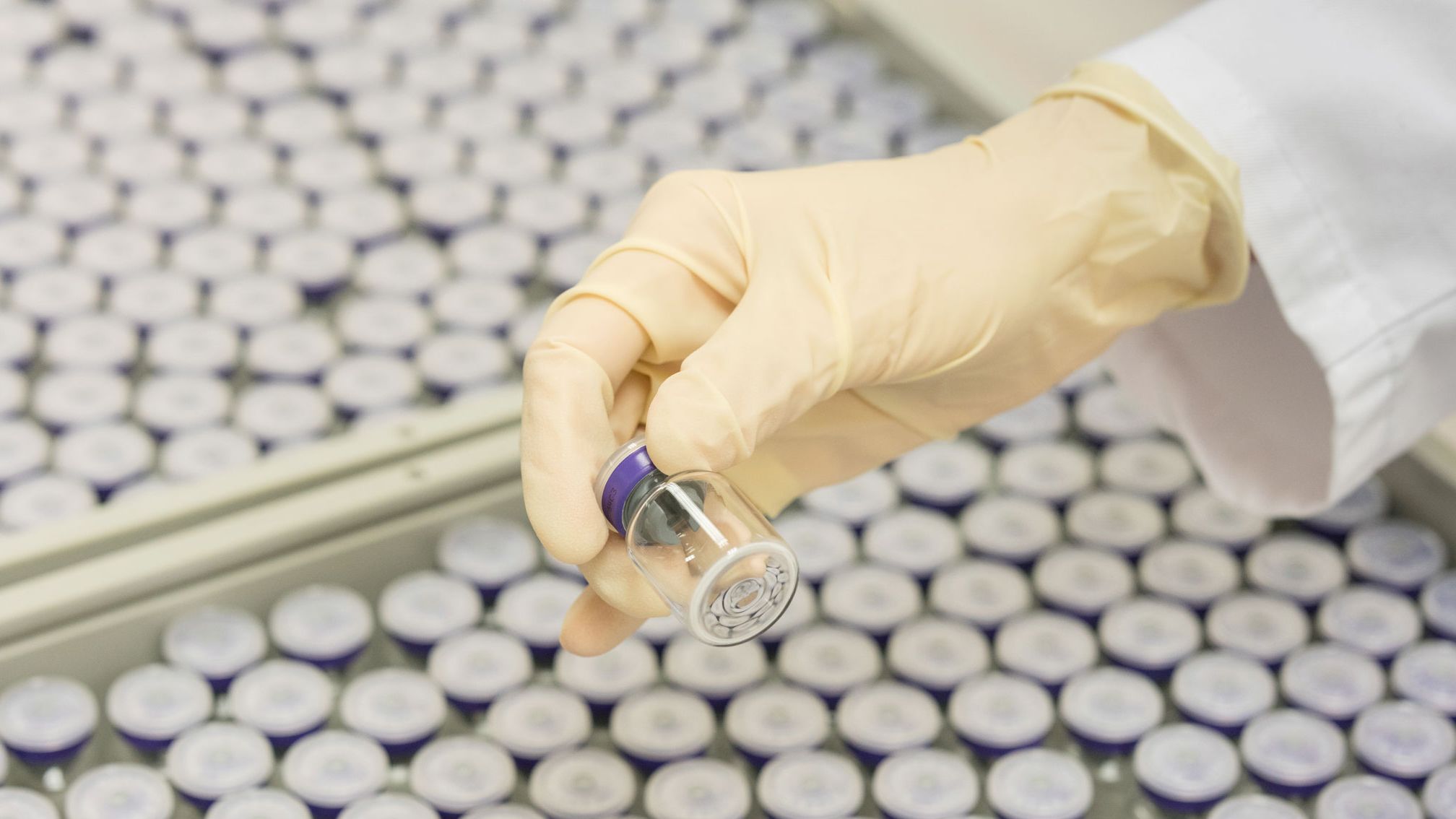 Botox industry insight