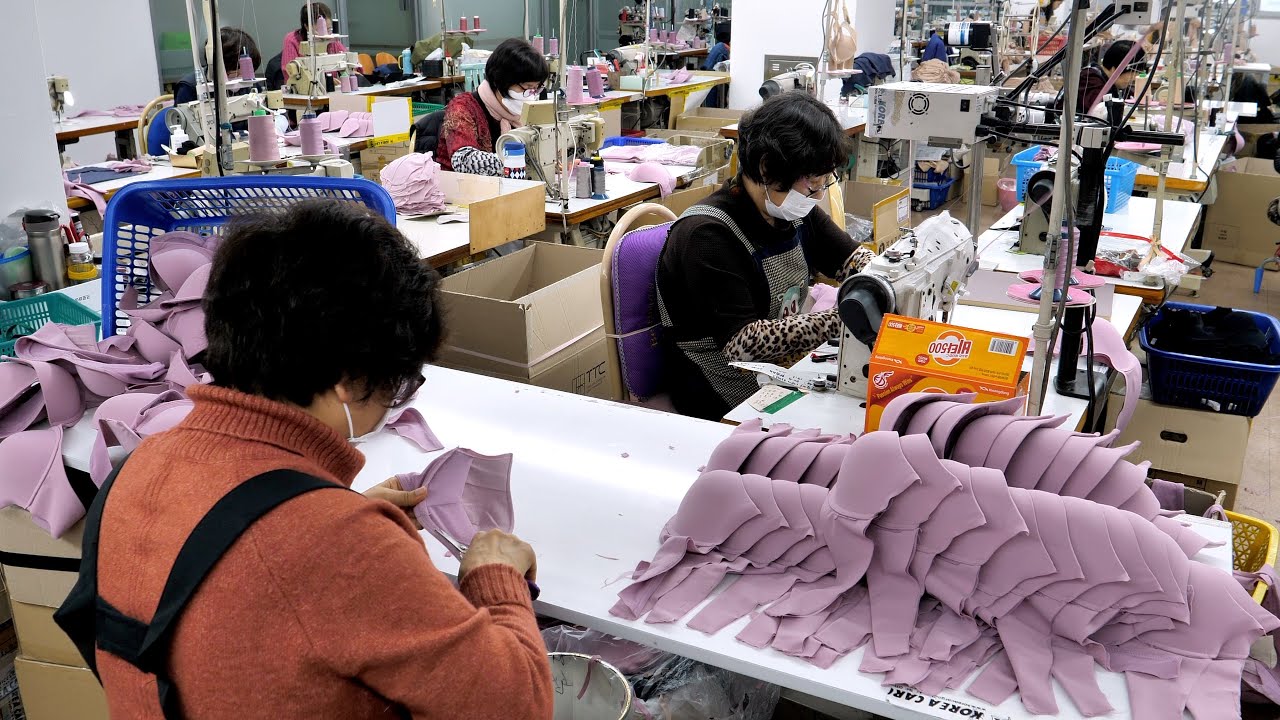 Bra industry insight